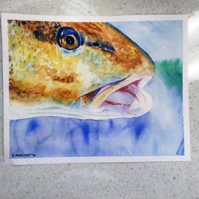 Redfish Head original watercolor painting 8"x0"