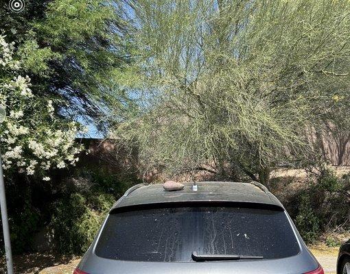 The rock she threw on top of my car