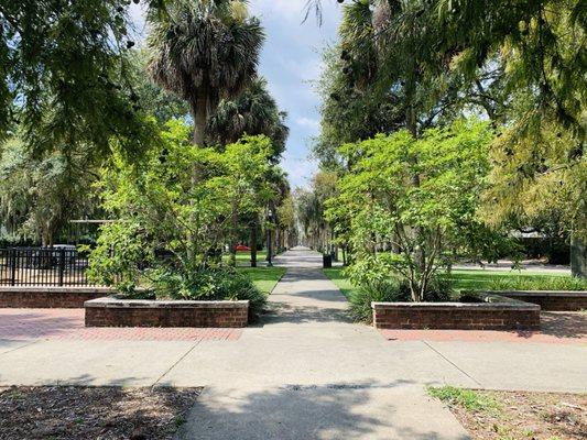 Looking at the Palm Tree Lane (that's what I call it), from Baldwin Park.