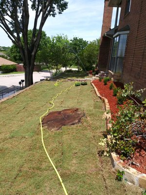 Grass installation, Tree removal, Flower bed at costumer request.