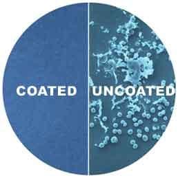 Antimicrobial coatings protect surfaces from bacterial growth for up to 1 year