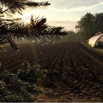 Plowed fields and morning dew.