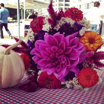 Fall at the Westown Farmers Market!