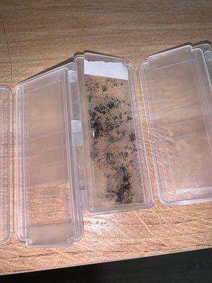 mold test samples