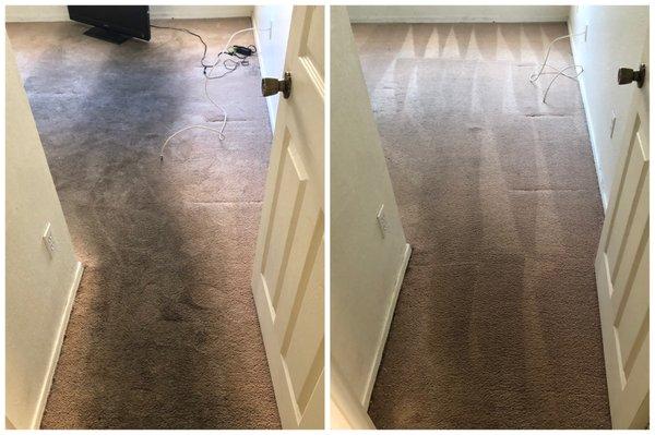 Residential Carpet Cleaning in Phoenix, AZ