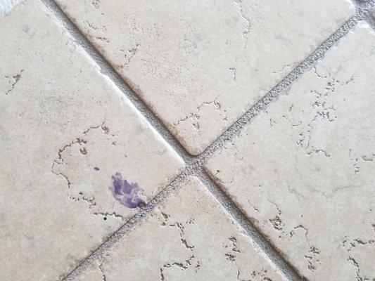 Floors were filthy, Nail polish and chips in tile