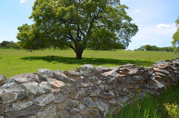 Gold Country Rock Walls