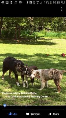 The owner called them the three assistant branch managers. Too cute!