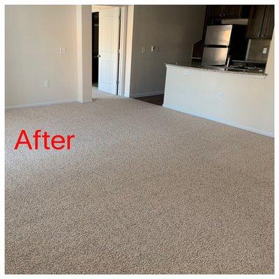 Allbrite Carpet Cleaning & Restoration