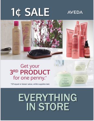 January Promotion: Time to stock up on your favorite AVEDA products or try something new!