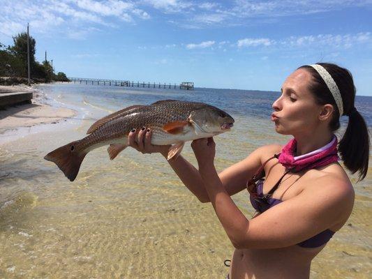 Nice Red Fish