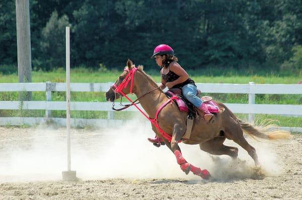 Learning to Game on a Pony