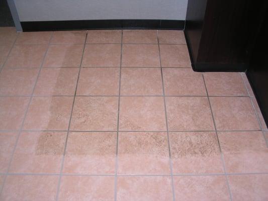 Tile and Grout Cleaning