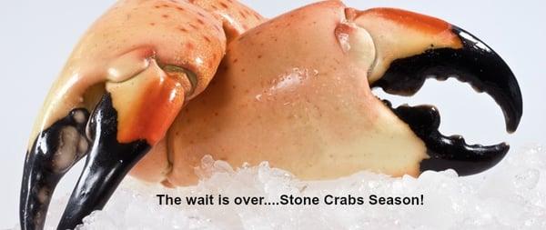 Stone Crab Season