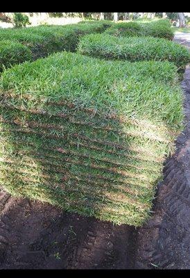 Sod getting ready to be laid.