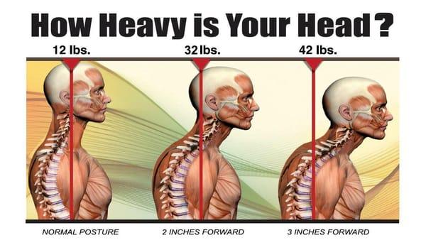 A human head normally weighs between 10 and 12 pounds. Here is an example of the increased load on your spine due to things like "text neck"