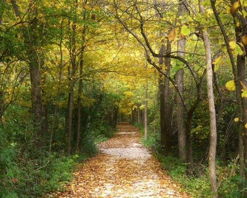 Sawyer Quarry Preserve