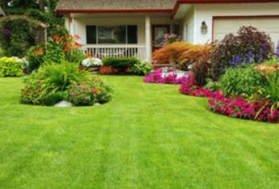 Overland Park Lawn Care