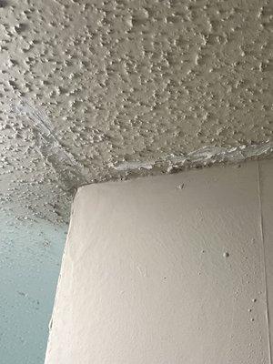 More water damage cover up