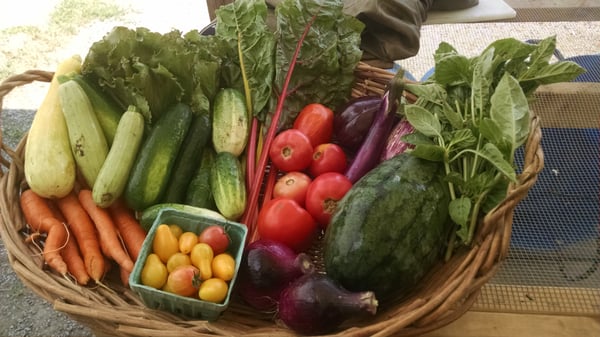 July CSA share 2016