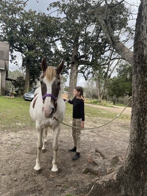 My daughter learning to groom the horse ( Riley) before she learns to ride her .