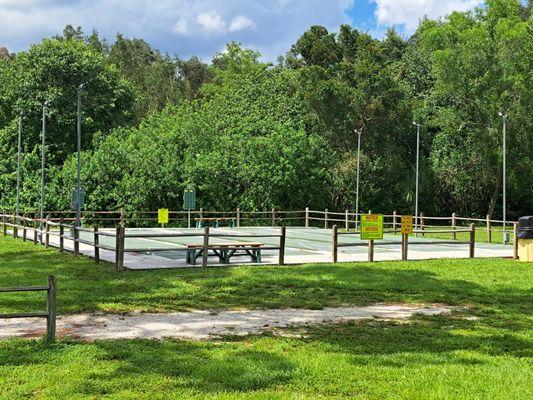 shuffleboard