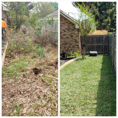 Sod installation