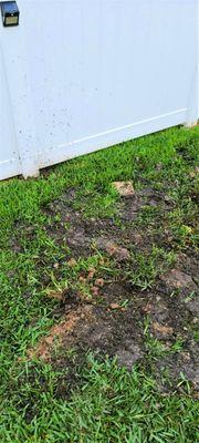 How workmen from Advanced Landscape Irrigation left my yard and fence