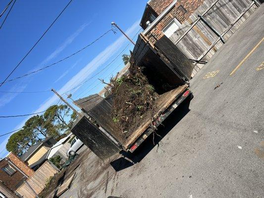 Tree stump removal