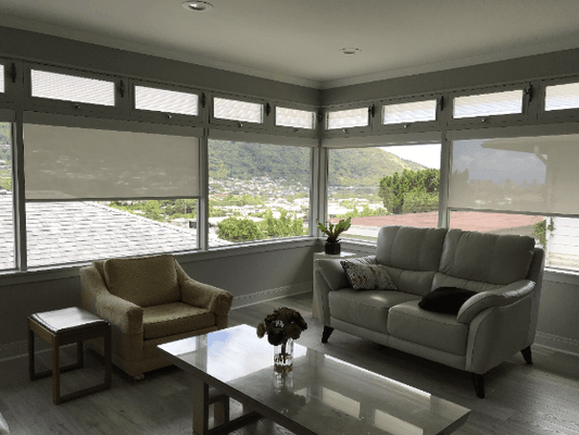 Shades providing privacy without losing our view