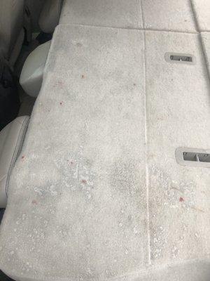 Blood all over the back of our vehicle.