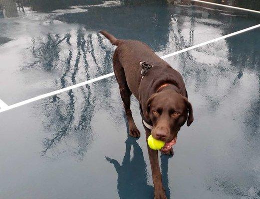 Play time with my favorite ball