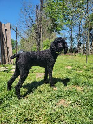 Enjoying some time outside while boarding!