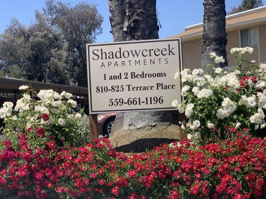 Shadowcreek Apartments