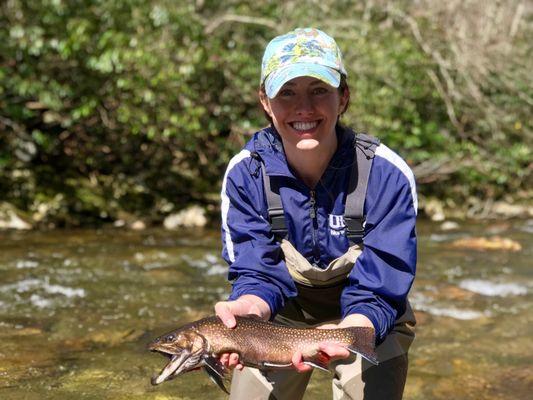 Brown Trout Fly Fishing LLC