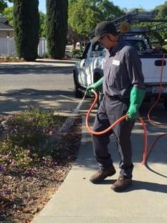 Powerspraying of shrubs