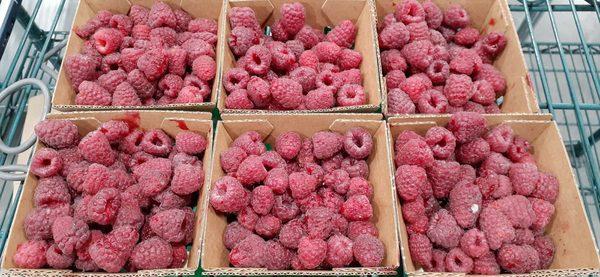 Raspberries that became moldy, and put back on the shelf after one or two were picked out...ugh!