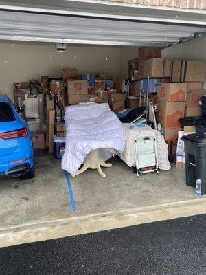 The customer needed everything cleaned out his basement to the garage. Have great review on thumbtack.