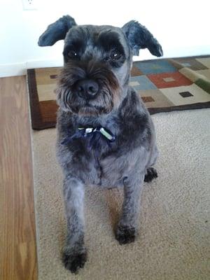 Tessie, aka Stick Woman, after getting all that hair shaved off.