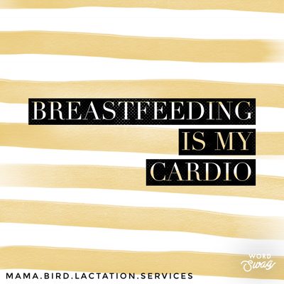 Mama Bird Lactation