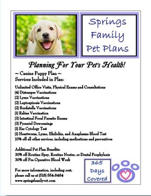 Springs Family Veterinary Hospital is excited to introduce Pet Plans for preventive care and discounts on routine spay/neuter and dentistry!