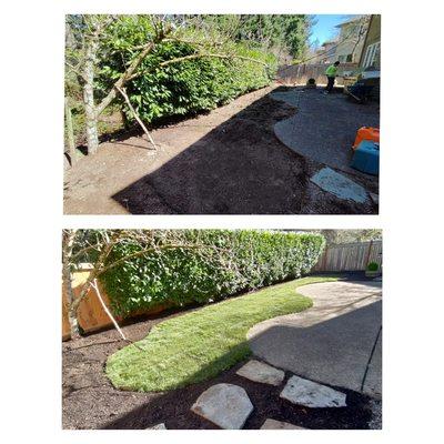 Sod installation