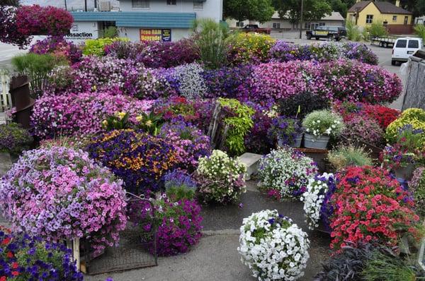 Gro-System Nursery Display