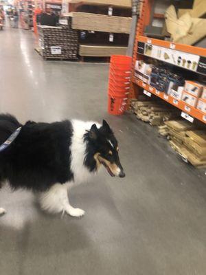 Our boy Nash at Home Depot