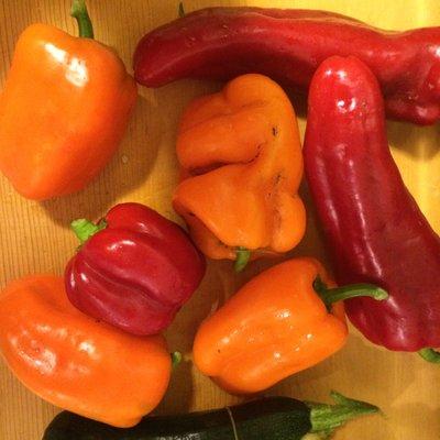 Sweet, organically grown peppers. Only $4 for all of these and they taste delicious!