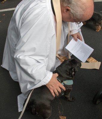 Blessing of the Animals