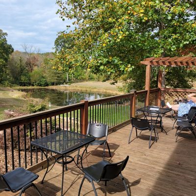 Overlooking the pond