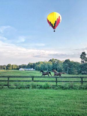 That was us up there, photo credit to a friendly on looker! Landed in her backyard!