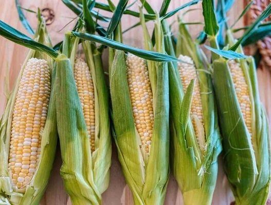 Farm fresh corn available for purchase on their website (for a limited time). We bought some already and it was delicious!