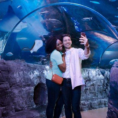 Ocean Tunnel at New Jersey SEA LIFE Aquarium